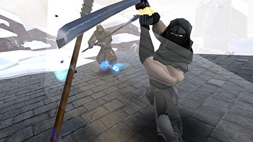 Ninja Legends (For Playstation VR)  PS4