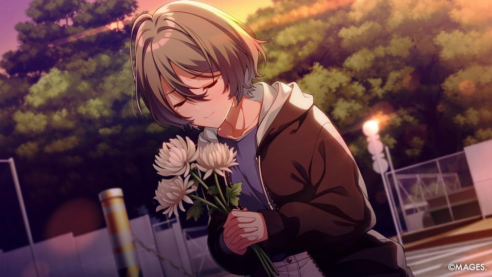 SINce Memories: Off the Starry Sky Switch