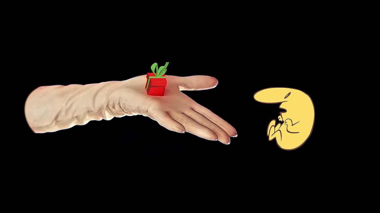 The Many Pieces of Mr. Coo - Fantabulous Edition PS5