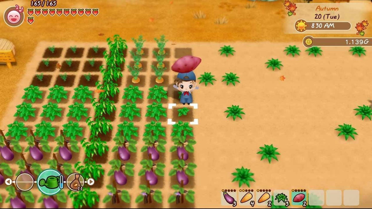 Story of Seasons: Friends of Mineral Town Xbox One