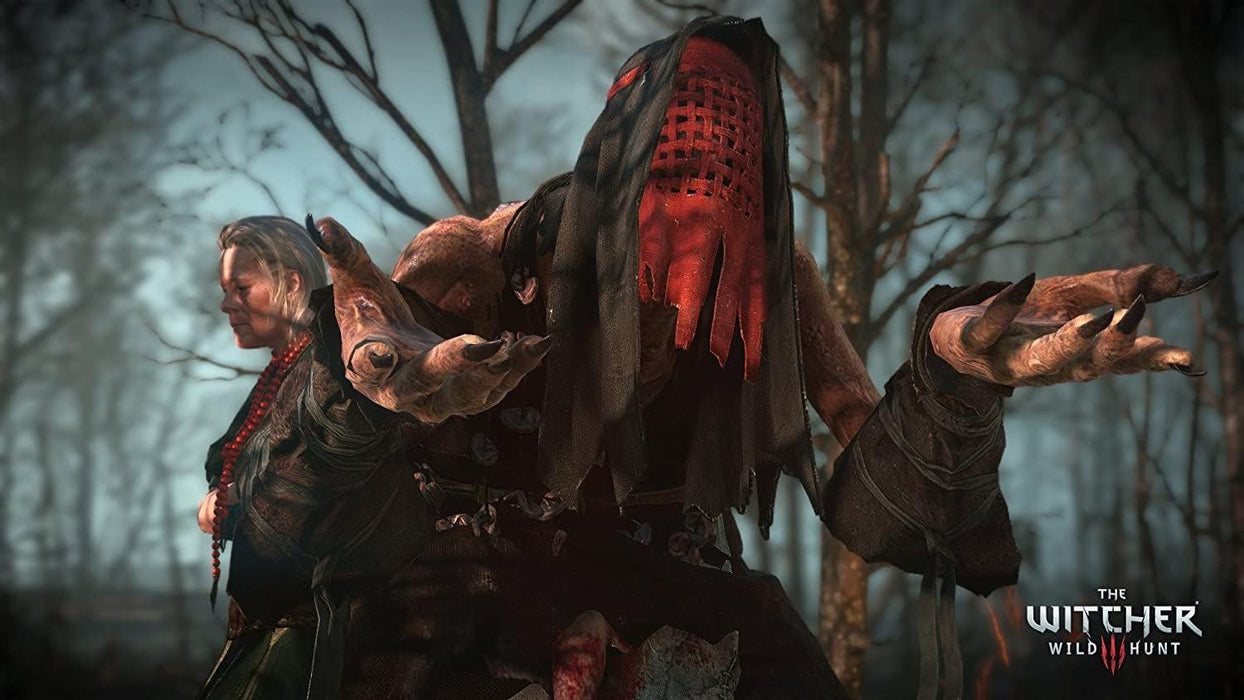 The Witcher III Wild Hunt PS4