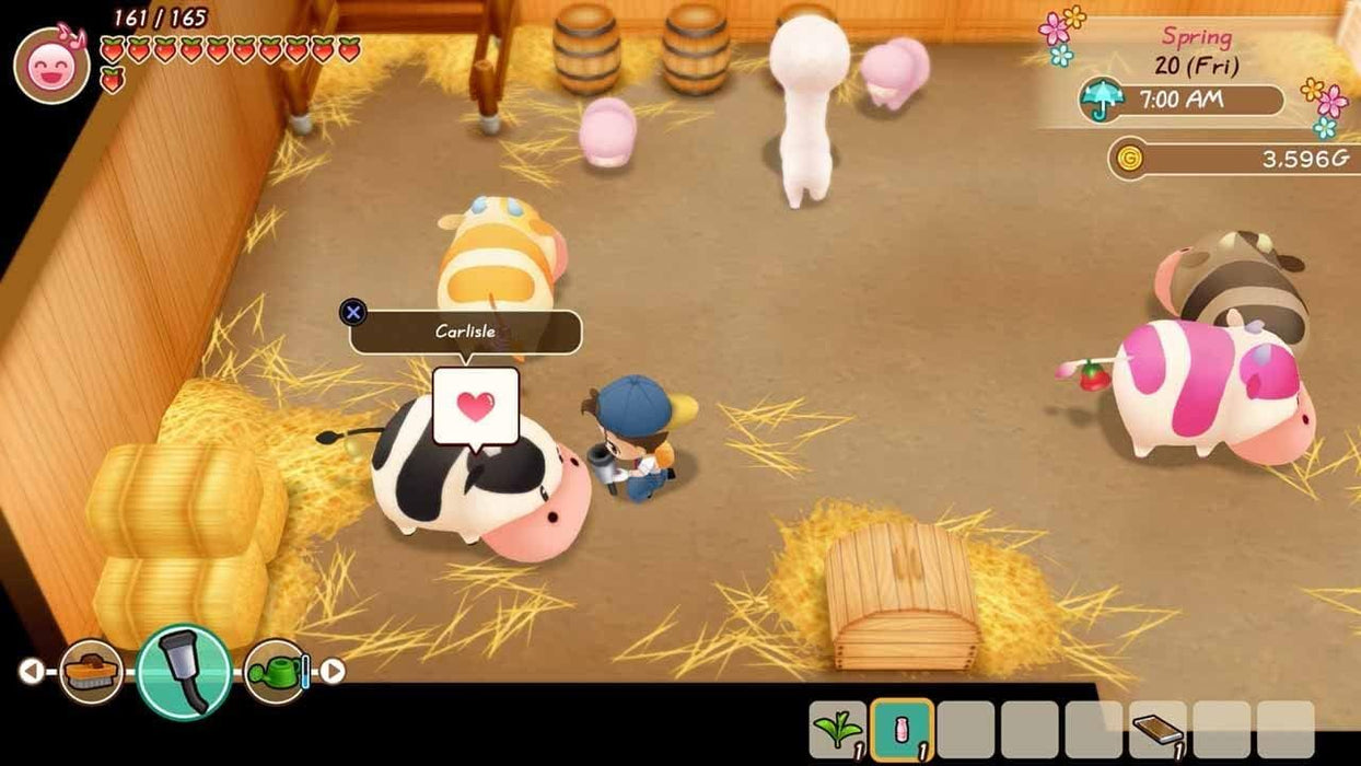 Story of Seasons: Friends of Mineral Town PS4