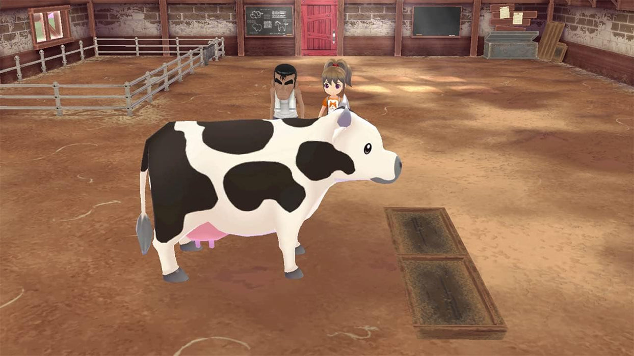 Story of Seasons: A Wonderful Life PS5