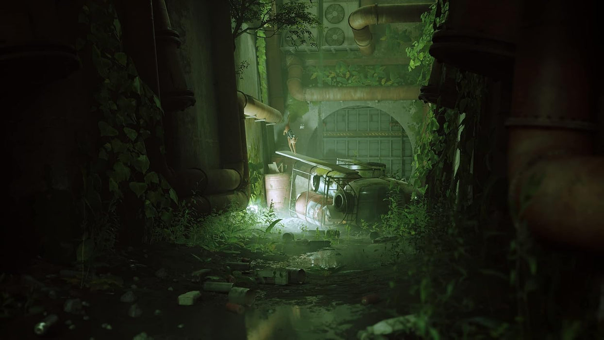 Stray (USA IMPORT) PS5