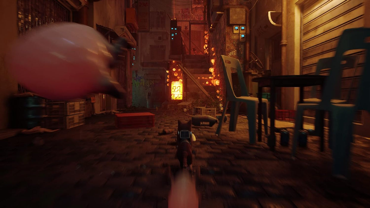 Stray (USA IMPORT) Xbox X