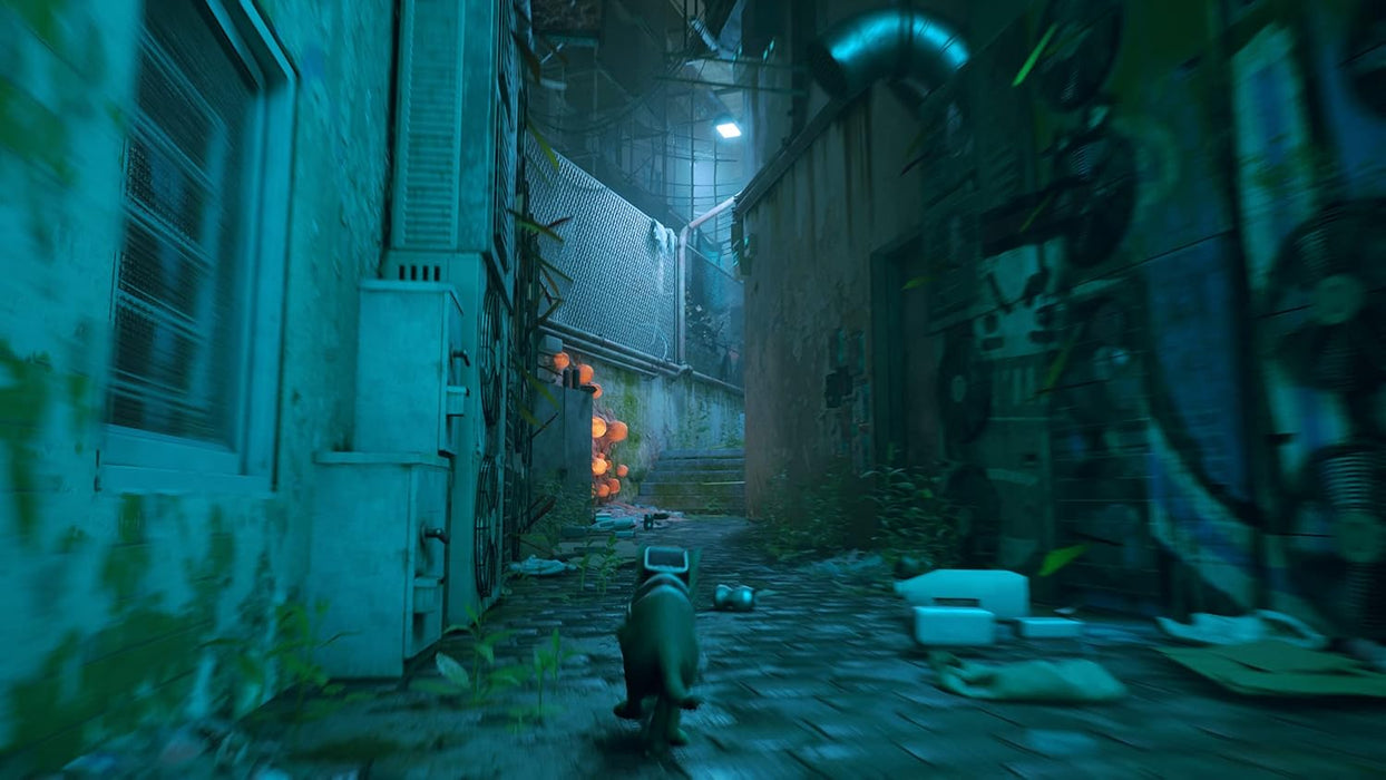 Stray (USA IMPORT) Xbox X