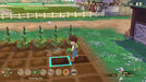 Story of Seasons: A Wonderful Life PS5