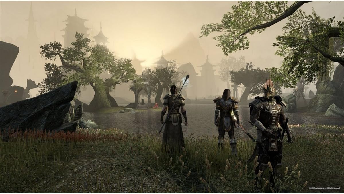 The Elder Scrolls Online: Morrowind  PS4