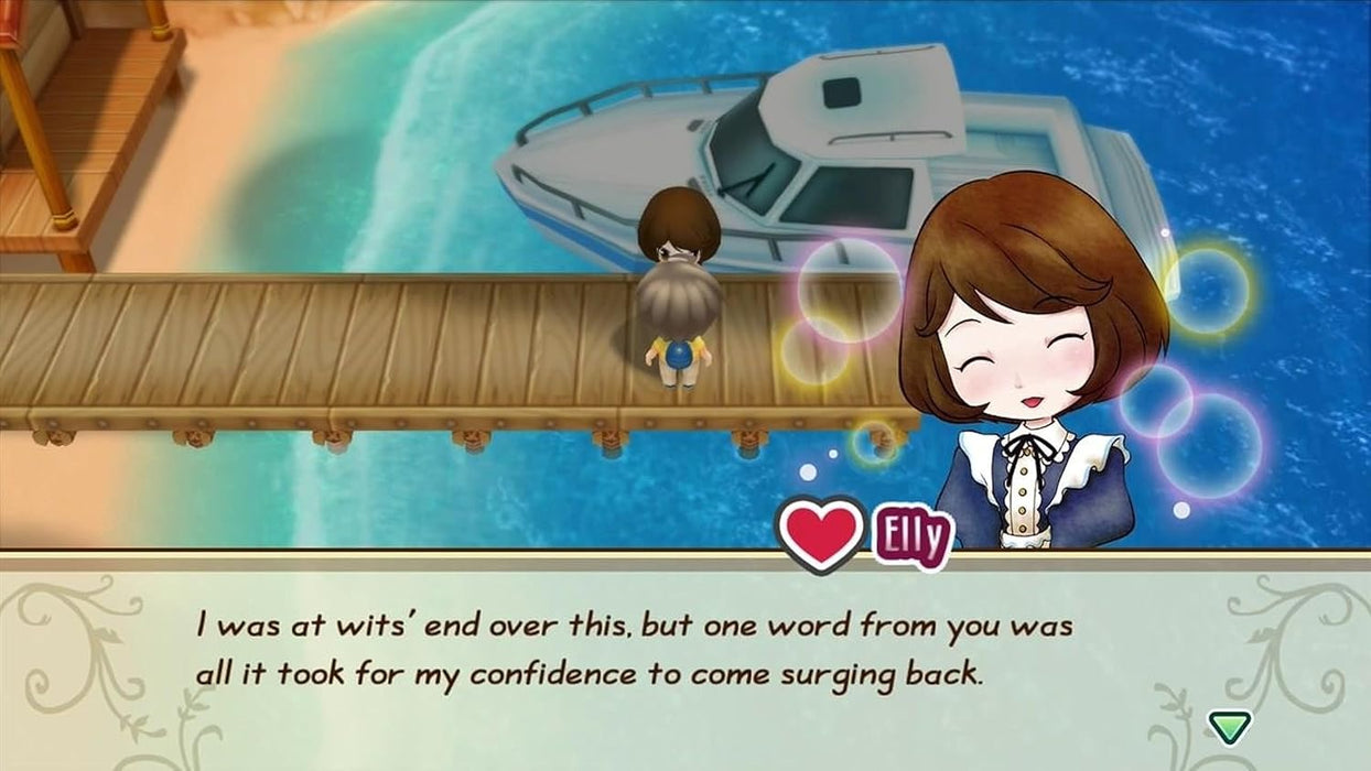 Story of Seasons: Friends of Mineral Town Switch