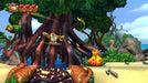 Donkey Kong Country: Tropical Freeze Switch