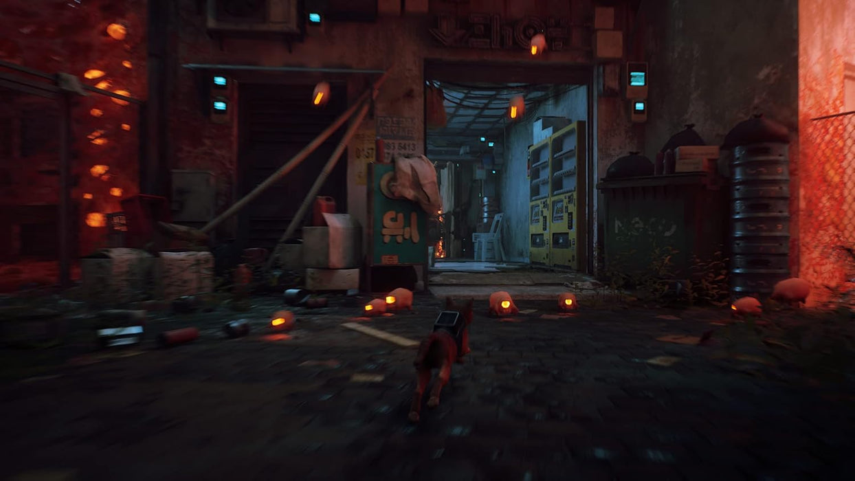 Stray (USA IMPORT) PS4