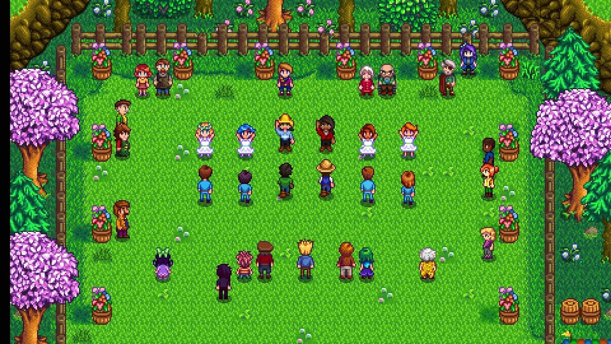 Stardew Valley Switch
