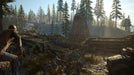Days Gone (EFIGS in game)  PS4