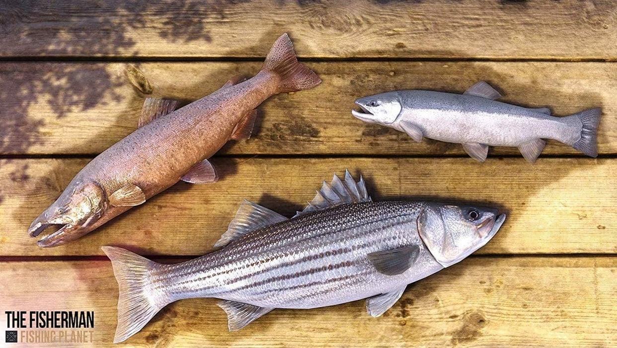 The Fisherman: Fishing Planet Xbox One