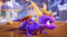 Spyro: Reignited Trilogy (Polish Box - ENG In Game )  Xbox One