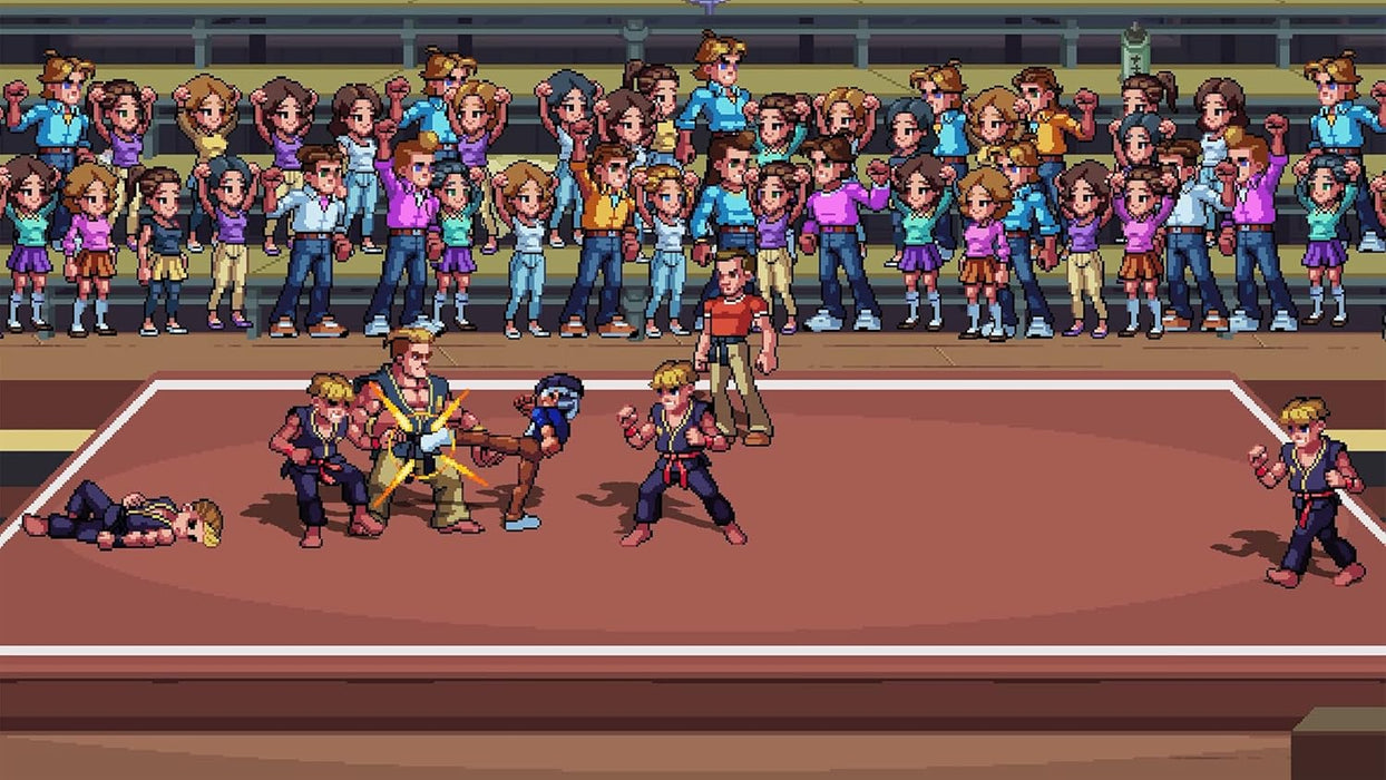 The Karate Kid: Street Rumble PS4