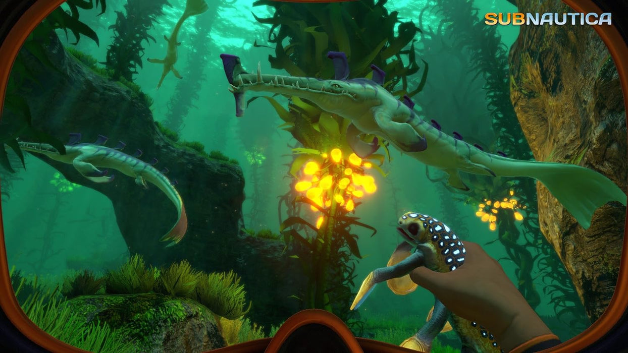 Subnautica  PS4