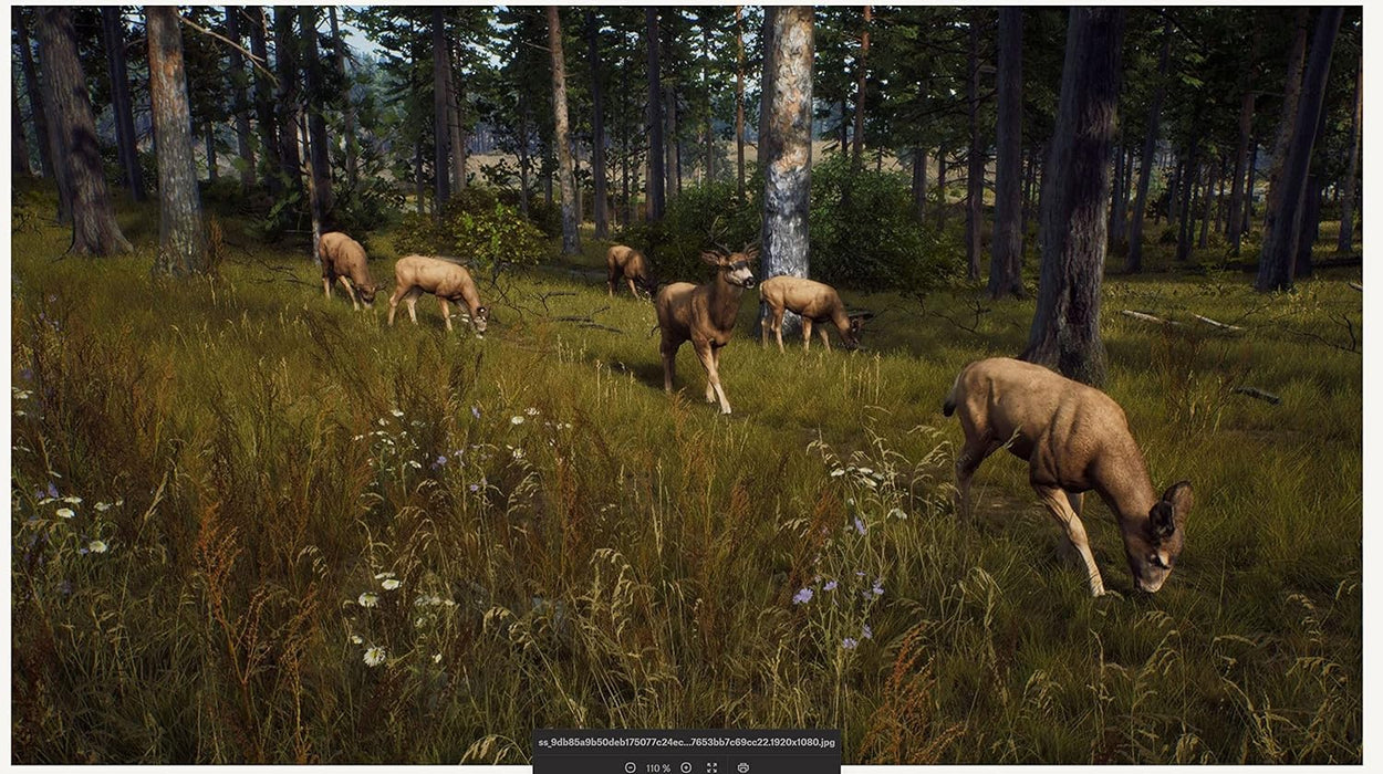 Way of the Hunter Xbox Series X