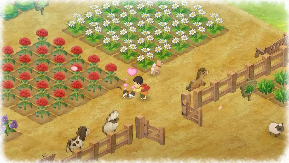 Doraemon: Story of Seasons  PS4