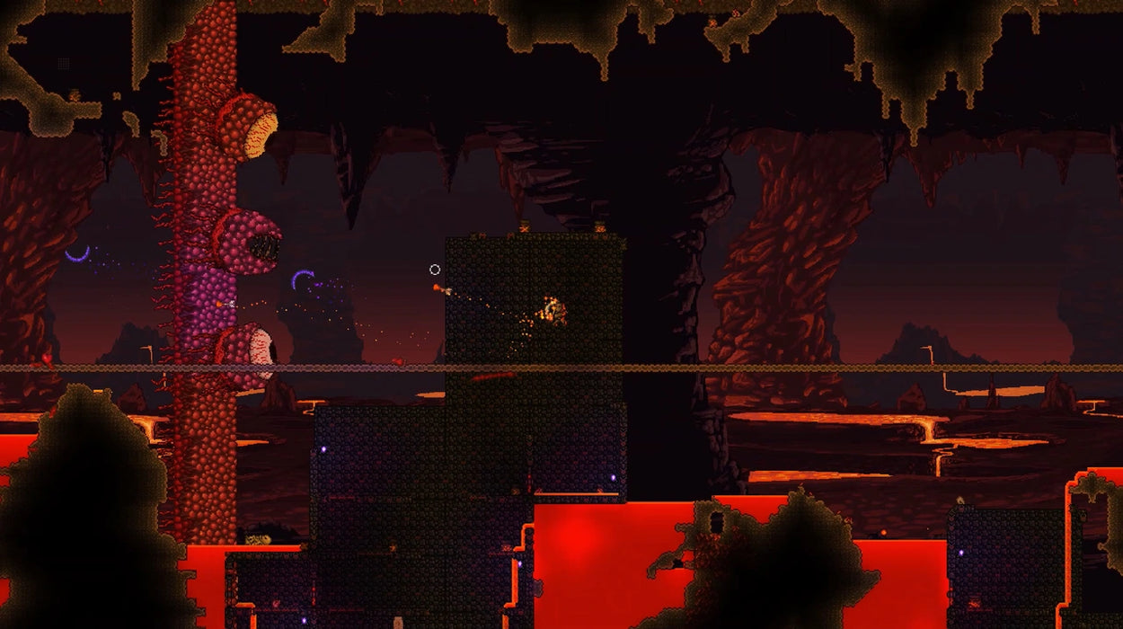 Terraria (Playstation Hits)  PS4