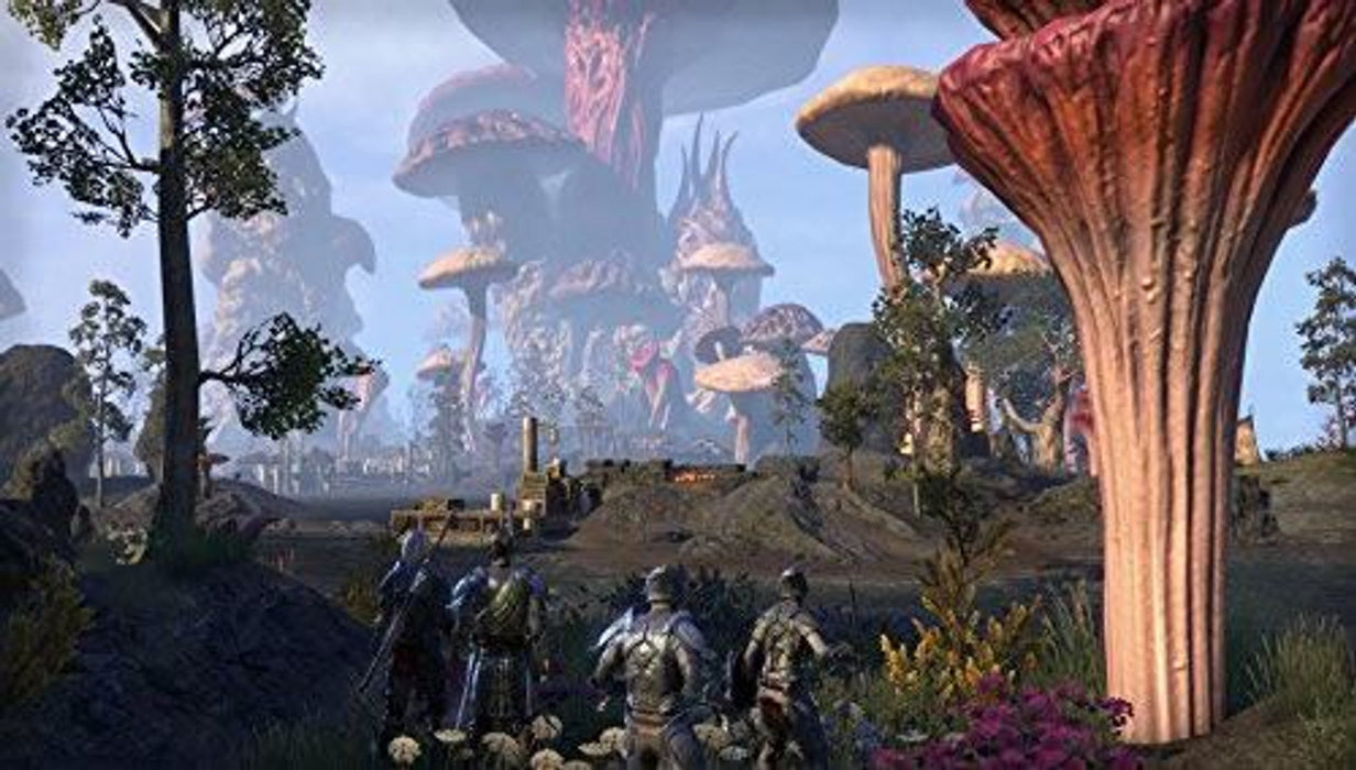 The Elder Scrolls Online: Morrowind  PS4