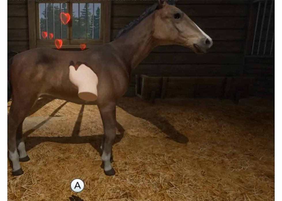 My Life: Farm Vet PS5