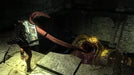 Demon's Souls (USA) (Region Free) PS3